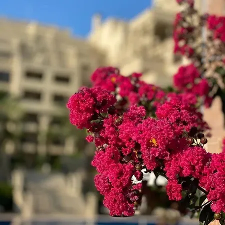 Apartamento Argisht 647